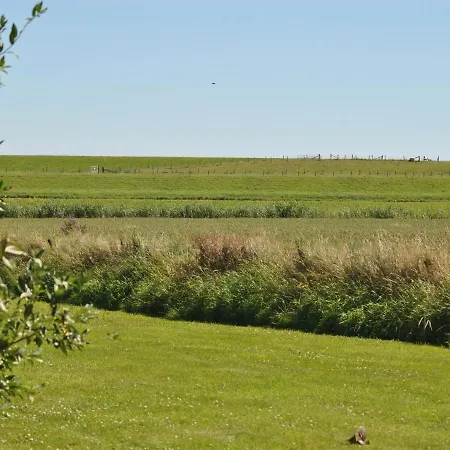 Charming In Texel بيت للعطل *