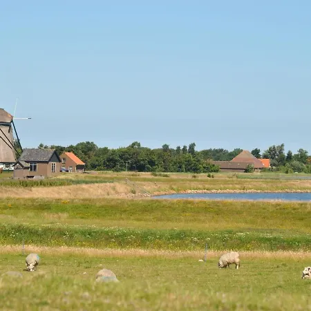 Charming In Texel Near Sea *